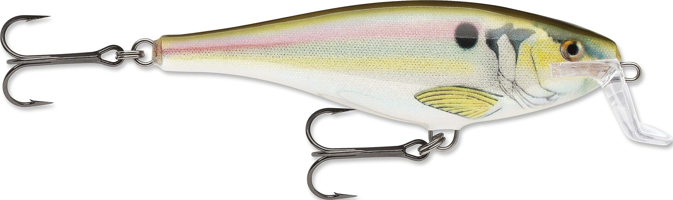 RapStep Amazon.com : Rapala Super Shad Rap 14 Live River Shad